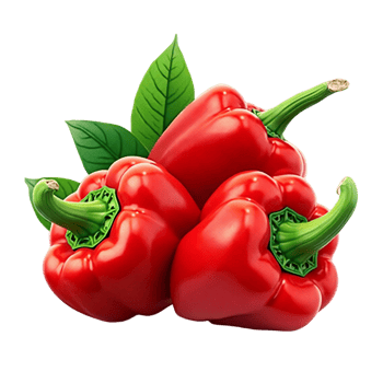 Garden of Spice png