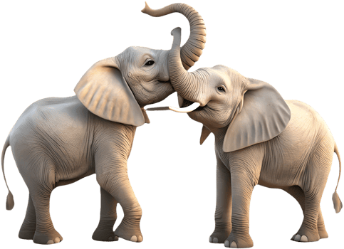 Adorable elephant couple clipart for meaningful friendship designs. . png
