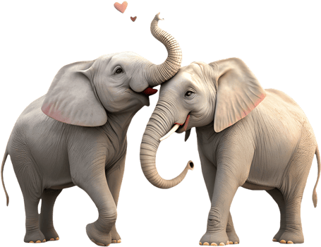 Endearing elephant couple clipart for family and affection. . png
