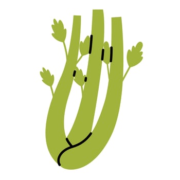 Hand drawn celery plant. Vegetable in doodle style. Fresh celery bunch and stalks vector