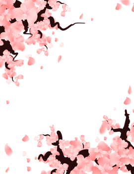 pink flowers falling petals frame transparent background. png