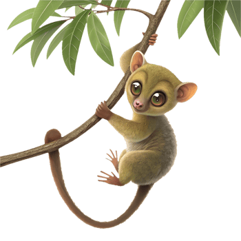 Cute Kinkajou Clipart for Jungle Inspired Illustration Designs. . png