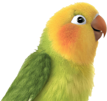 Hand-Drawn Lovebird Art for Heartfelt Romantic Design Elements. . png