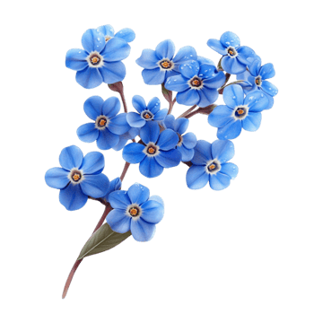 Plain Blue Sweater png