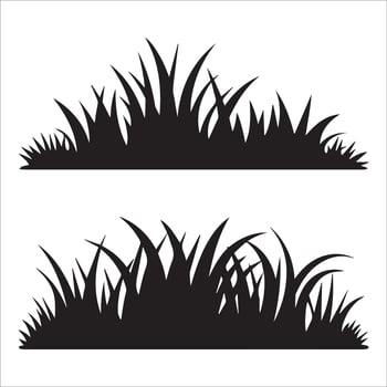 Monochrome Nature Illustrations in Decorative Frames vector