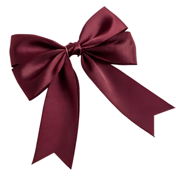 maroon bow isolated on transparent png