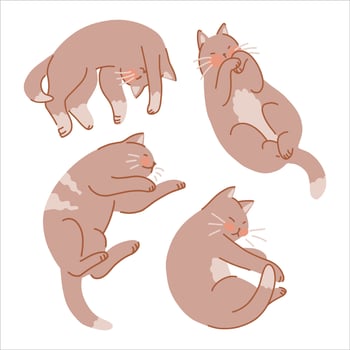 Set of cute sleeping cats. Pet animals, kitten collection. Flat illustration isolated on white. vector