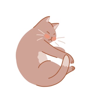 Cute curled up cat. Pet animal, kitten cartoon clipart. Flat illustration isolated on white. vector