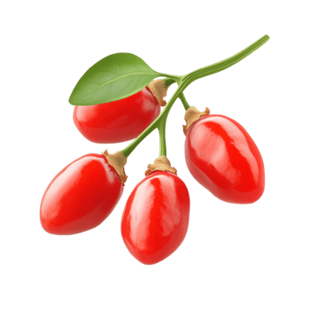 gooseberry fruit on a branch with leaves png
