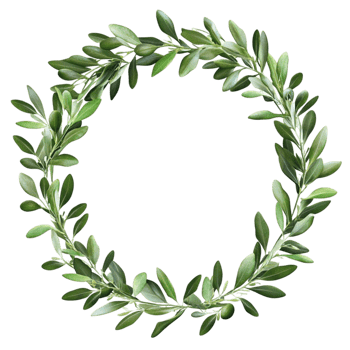 Green Olive Wreath with Leaves on Transparent Background png
