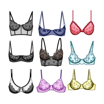bra lace set cartoon illustration vector