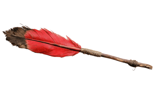 Uniquely crafted stick with vibrant red feather embellishment found in a nature setting png