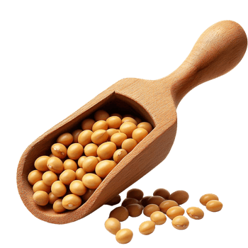 Soybeans in wooden scoop on transparent background png