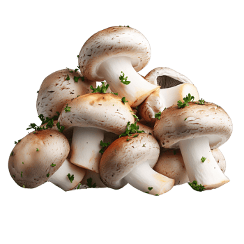 Button mushrooms with parsley on transparent background png