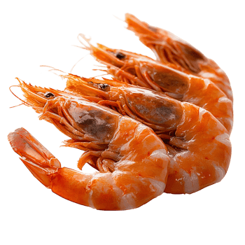 Shrimp seafood three cooked prawns on transparent background png