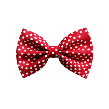 Red polka dot bow tie isolated on transparent background png