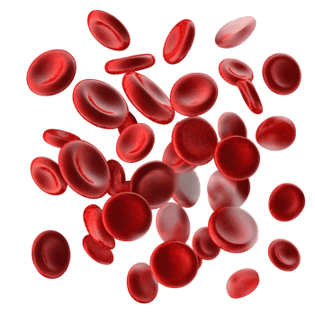 Red blood cells 3d render on transparent background png