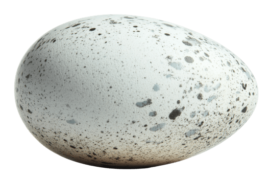 Unique speckled egg resting on a smooth surface, showcasing its distinct pattern and texture under soft lighting png
