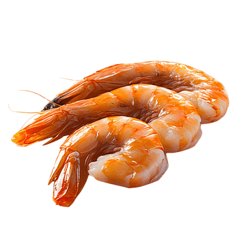 Cooked shrimp on transparent background png