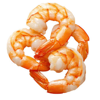 Cooked shrimp on Transparent Background, close-up image of three orange shrimps png