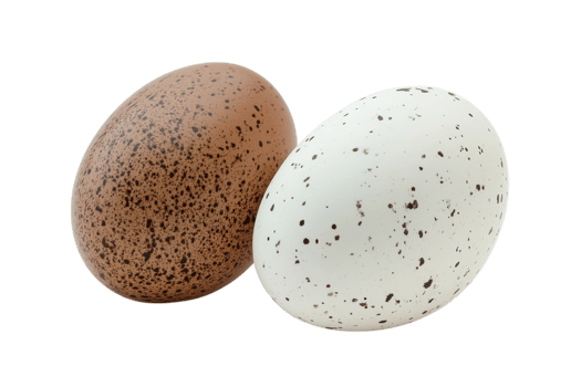Unique speckled eggs resting on a flat surface in a neutral setting during daylight png