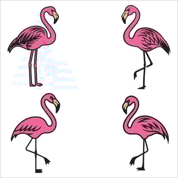 Vibrant Flamingo in Tropical Setting vector