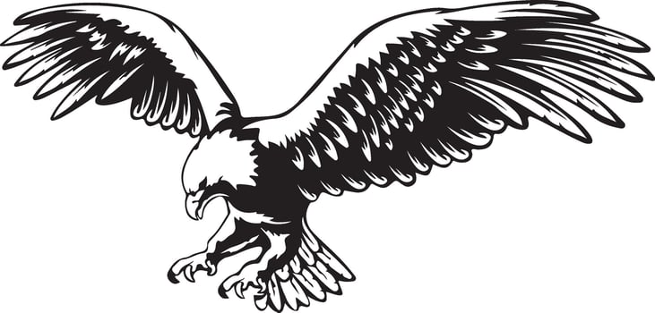 Graceful Eagle Flying Silhouette vector