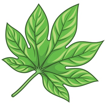 Tropical Plant Leaf for Decoration vector
