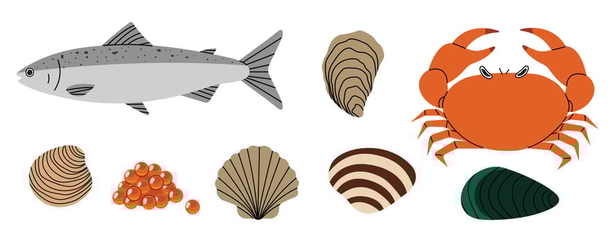 Seafood 2 on a White background, illustration. vector