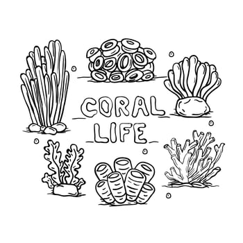 coral life coloring page vector