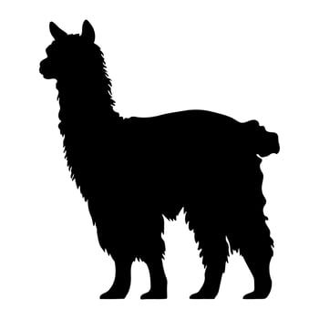 Alpaca black silhouette illustration. vector