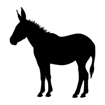 Mule black silhouette illustration. vector