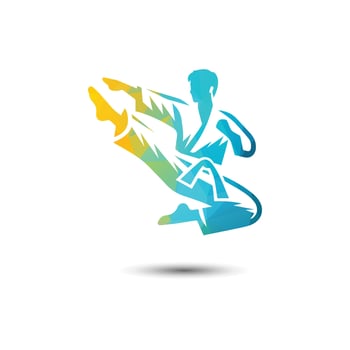 Martial Artist Logo Design Illustration vector