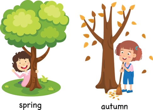 Opposite spring and autumn illustration vector