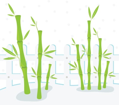 bamboo on white background illustration vector