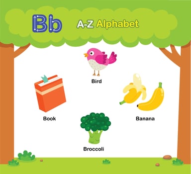 Alphabet Letter B education vocabulary illustration vector