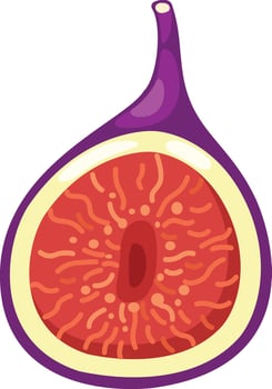 Fig fruits for healthy on white background illustration vector