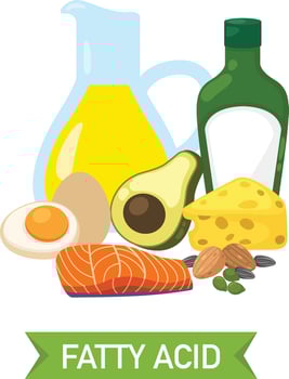 Fatty acid food group illustration vector