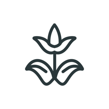 Flower line icon png