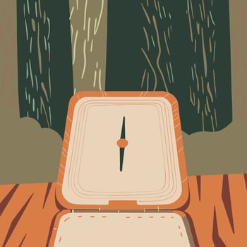 Forest Compass Nature Exploration Guide vector