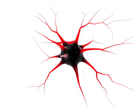 A vivid red neuron with branching extensions, showcasing its intricate structure and connectivity. png