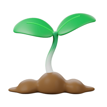 A plant sprouting from the ground png