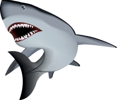 Shark clipart shark clipart shark clipart vector