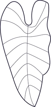 Nature's Pattern The Elegance of Monstera vector