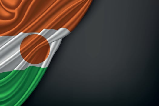 Waving Flag Niger on Dark Background vector