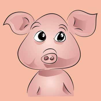 Cute Pig Drawing vector