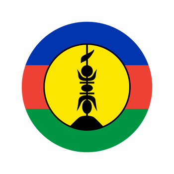 New Caledonia flag simple illustration for independence day or election png