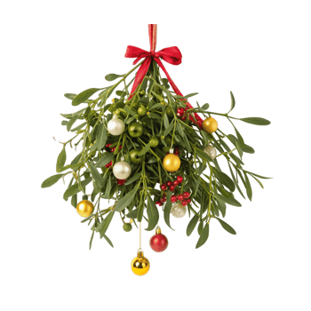 a wreath of pink roses on a transparent background png
