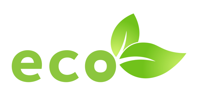 Eco green leaf icon Bio nature green eco symbol for web and business png