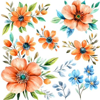 Watercolor flowers set, orange, blue, green, purple, yellow, white, black, png